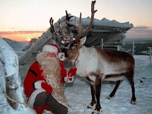 олень